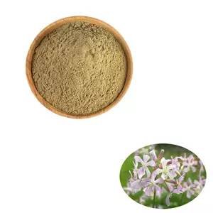 Saponaria Raiz en Polvo