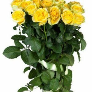 Aroma Rosas Frescas