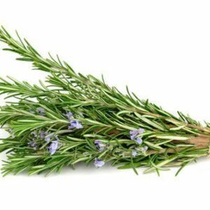 Aroma Romero