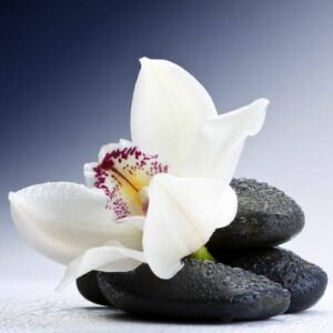 Aroma Orquidea
