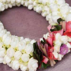 Aroma Jazmin & Orquidea