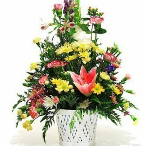 Aroma Floral