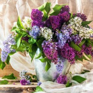 Aroma Flor Lila