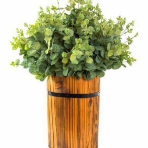 Aroma Eucalipto