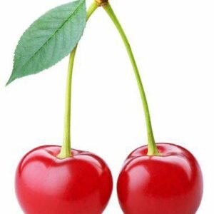 Aroma Cherry