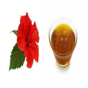 Extracto Hibiscus