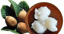 Aceite Babassu Organico