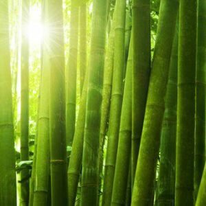 Aroma Bambu Fresco