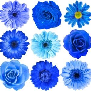 Aroma Flor Aguamarina