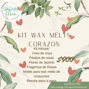 Kit Wax Melts de Corazones