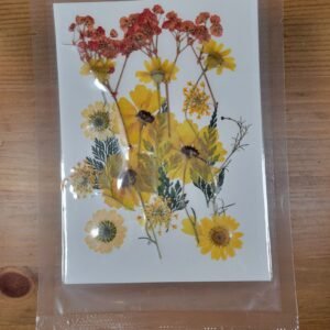 Flores Secas
