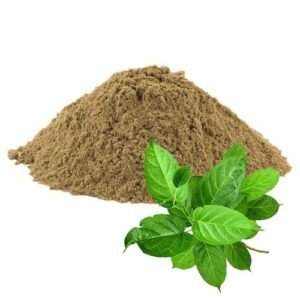 Gymnema polvo