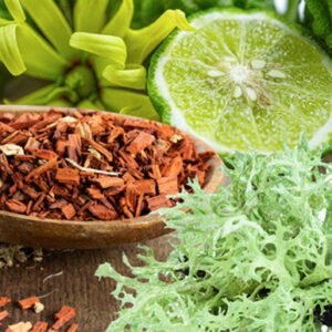 Aroma Musgo de Roble y Sandalo
